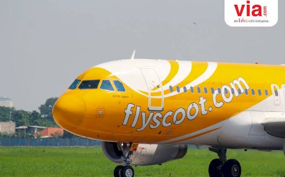 Simak Cara Melakukan Reschedule Tiket Scoot Airlines